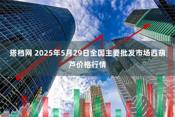 搭档网 2025年5月29日全国主要批发市场西葫芦价格行情