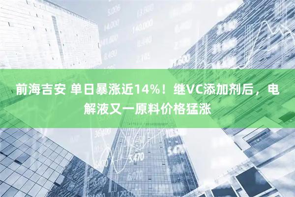 前海吉安 单日暴涨近14%！继VC添加剂后，电解液又一原料价格猛涨