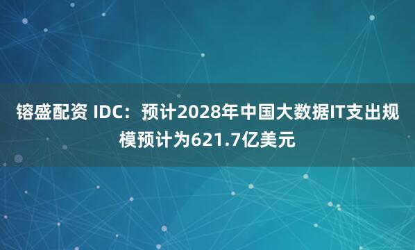 镕盛配资 IDC：预计2028年中国大数据IT支出规模预计为621.7亿美元