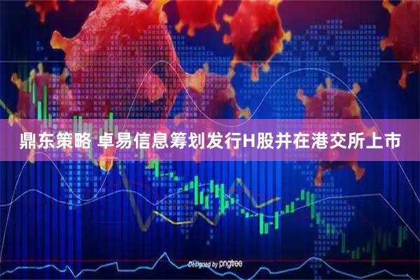 鼎东策略 卓易信息筹划发行H股并在港交所上市